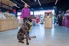 Conoce a Kiwoko. Mundo Animal