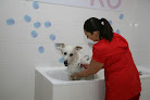 Conoce a Kiwoko. Mundo Animal