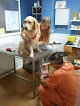 Conoce a Nexo Veterinario Punta
