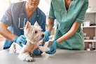 Conoce a Reservanimal - Gaherproga | Alimentación Y Accesorios, Clínica Veterinaria Y Peluquería Para Mascotas
