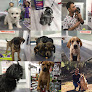 Conoce a Tus Veterinarios Mary Paz Y Oscar